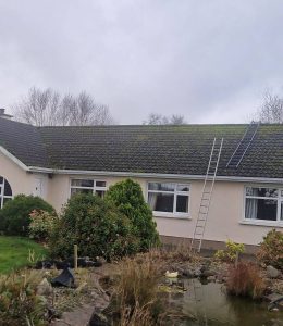 Roof Cleaning & Sealing