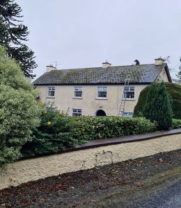 Roof Cleaning & Sealing