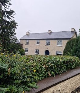 Roof Painting