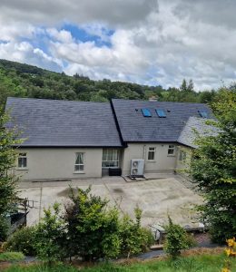 Roof Painting