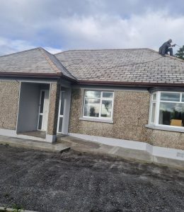 Roof Painting