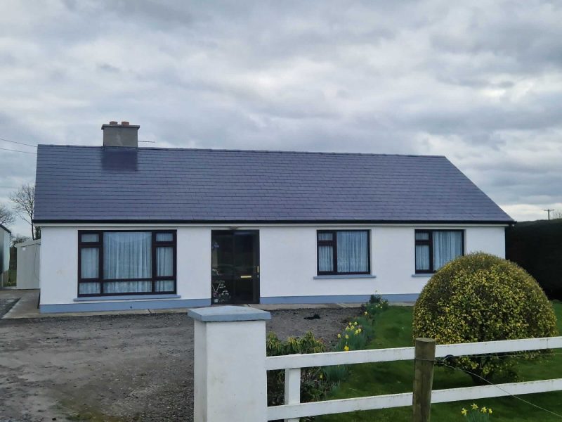 Roof Cleaning & Painting